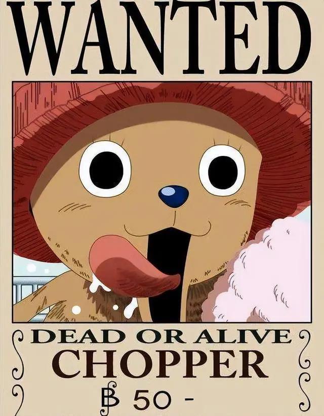 海贼王中四张特殊悬赏令，两个性价比极高，最后一个是谜