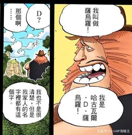 「小智分析」我眼中的“D”与“ONEPIECE”