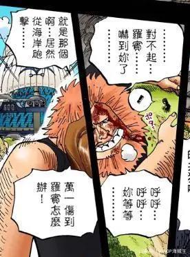 「小智分析」我眼中的“D”与“ONEPIECE”