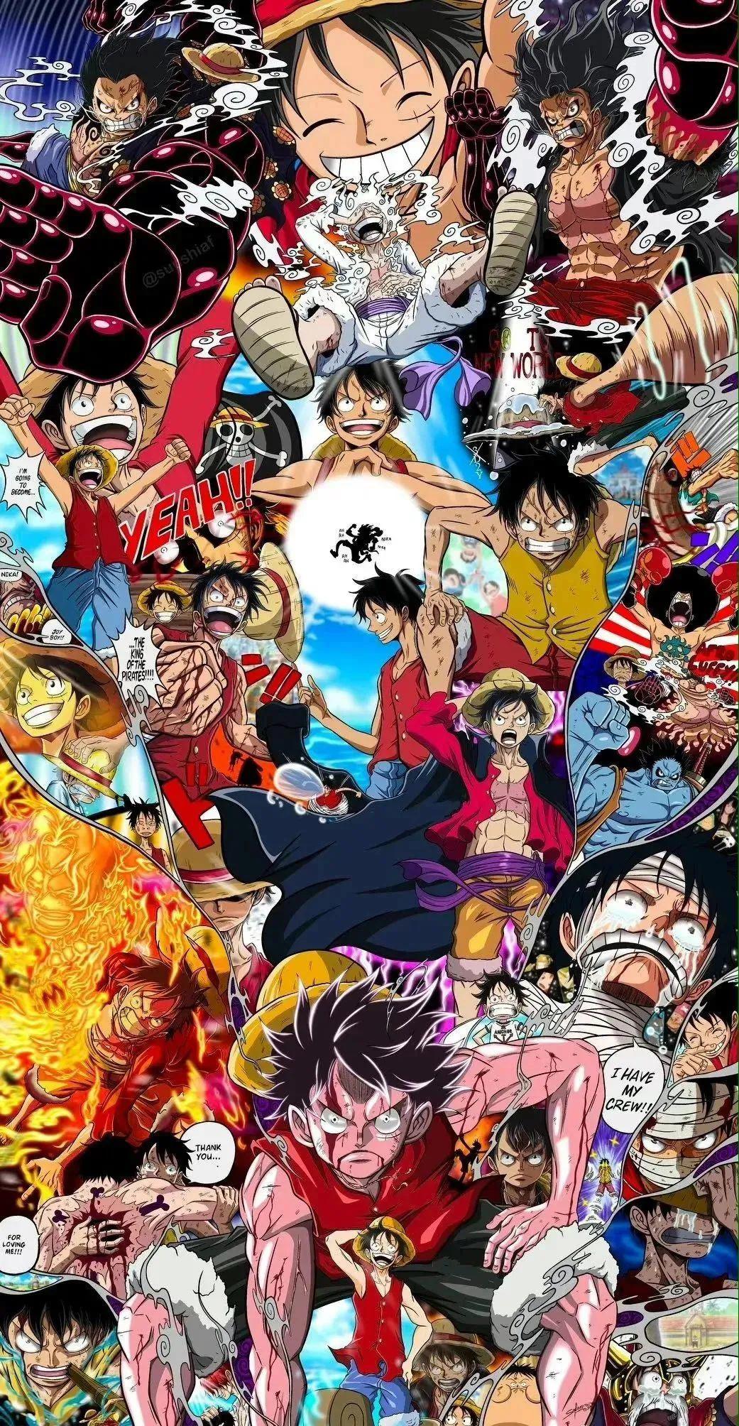 神の天敌！海贼王十位D之一族大盘点，地球乱不乱，他们说了算！