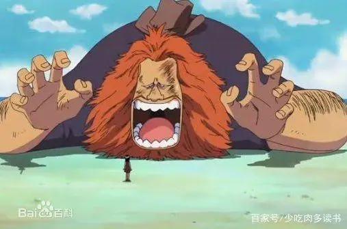 海贼王-D之一族大盘点