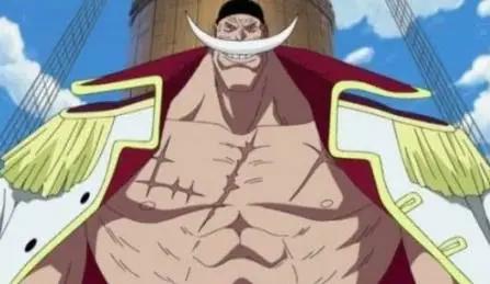 海贼王最不能招惹的十位大佬，她曾五岁时毁灭一个村子