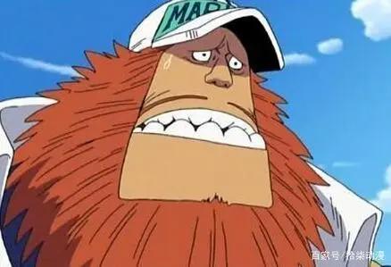 海贼王：D姓是神之天敌，天龙人为何不将蒙奇·D·卡普除掉？