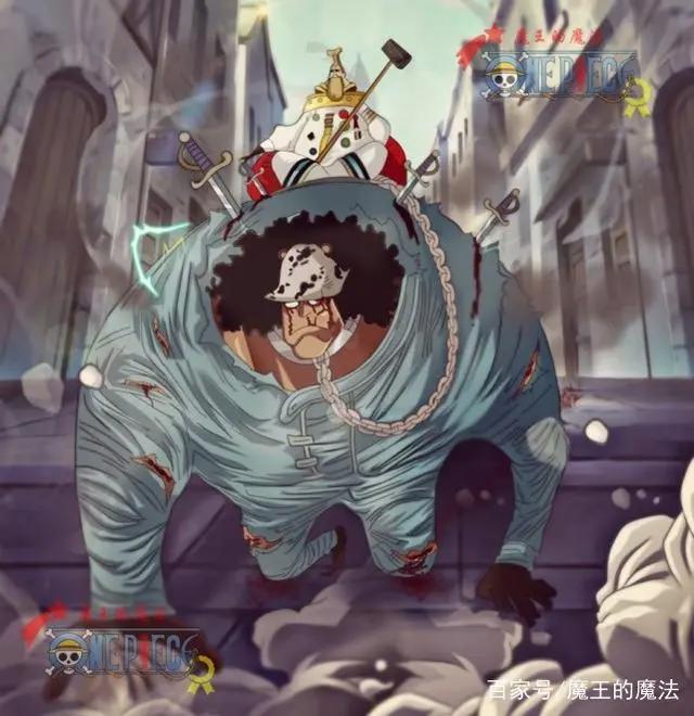海贼王：红发去见五老星是为了谁？暴君熊成为奴隶说明了问题