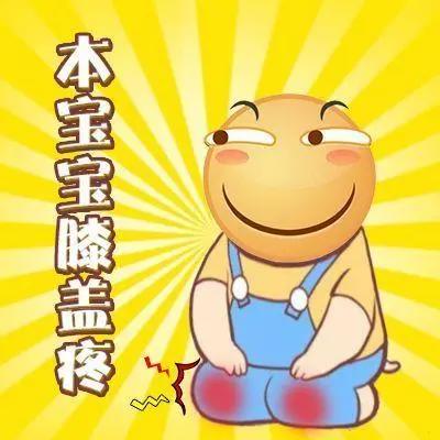 喜欢海贼王？那米霍克可不能错过！