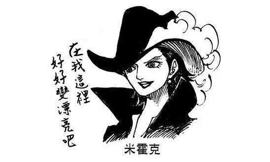 海贼王人物志：原王下七武海鹰眼米霍克，独自一人的剑客之道