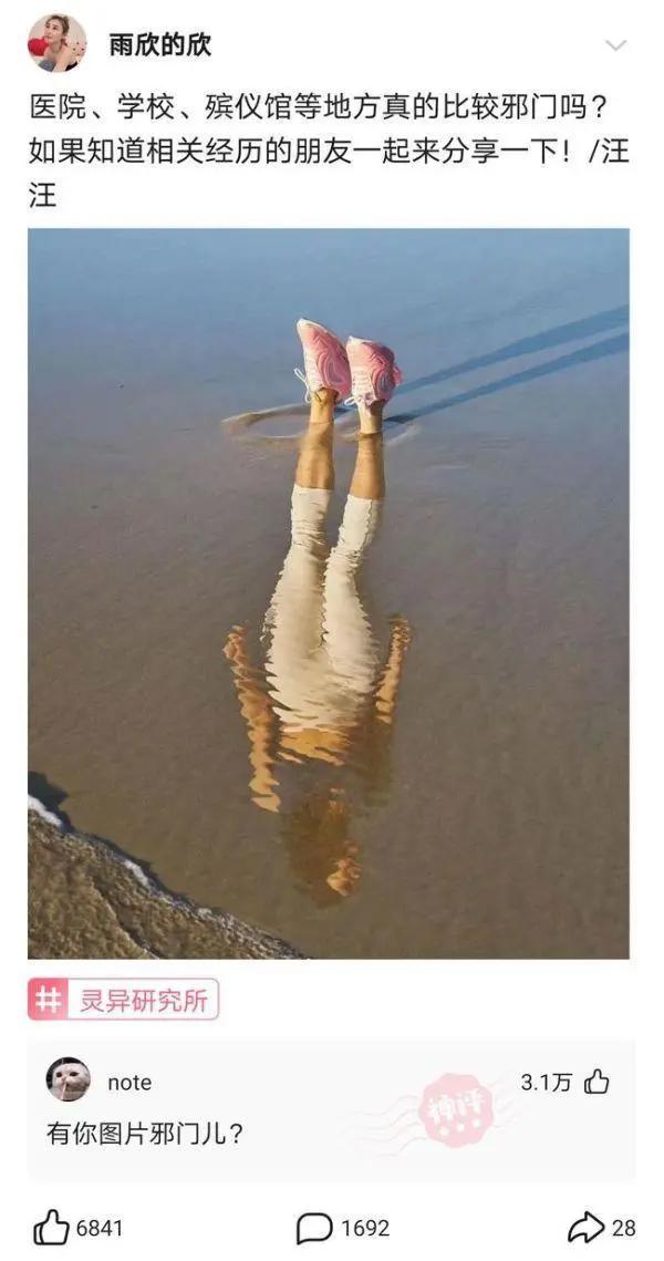 神回复：海贼王女帝波雅汉库克的性格和实力分析？