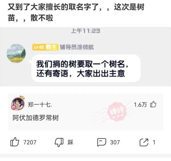 神回复：海贼王女帝波雅汉库克的性格和实力分析？