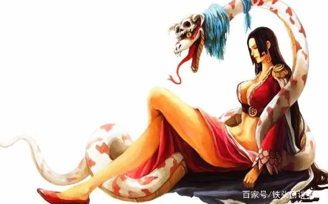 波雅汉库克：海贼王里人见人爱的美女，为何偏爱不解风情的路飞？