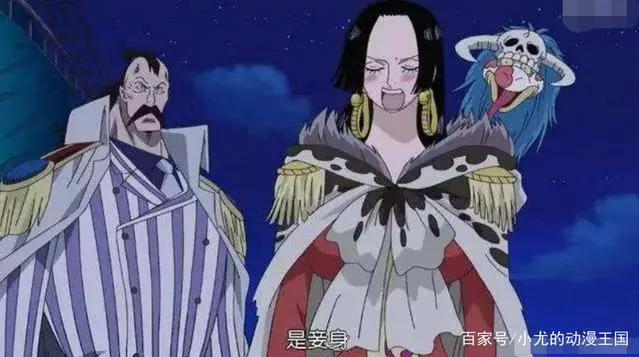 海贼王：波雅汉库克！开什么玩笑！美丽就可以为所欲为了？