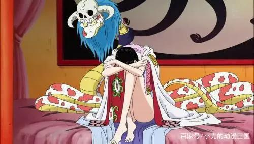 海贼王：波雅汉库克！开什么玩笑！美丽就可以为所欲为了？