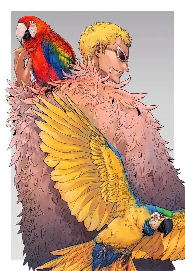 海贼王：帅出圈的男人多弗朗明哥我明哥