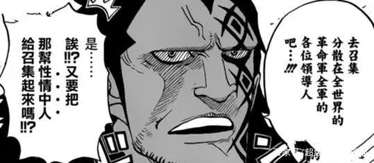 海贼王：龙的革命军被黑胡子歼灭了，真相是截然相反的