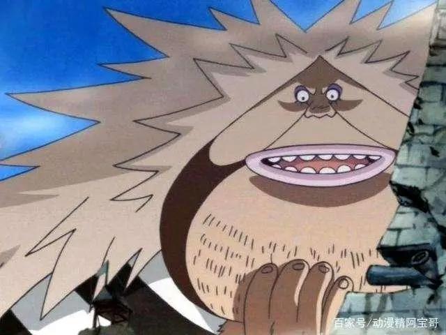 《海贼王》黑胡子海贼团——团员分析