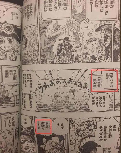 《海贼王》956情报：萨博竟然死了？CP0惊现和之国