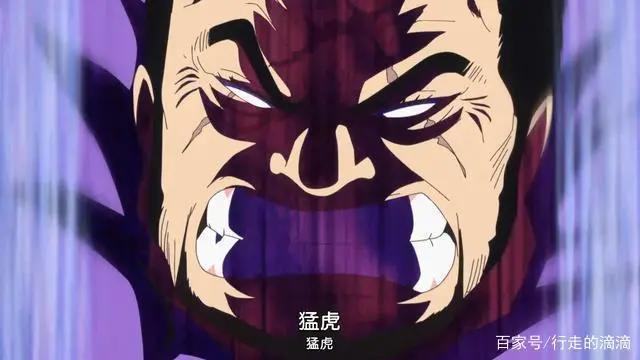 海贼王：藤虎具备击败赤犬的能力？后者一直都被严重低估