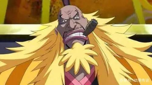 海贼王中最强男人白胡子打不过藤虎？网友说对了