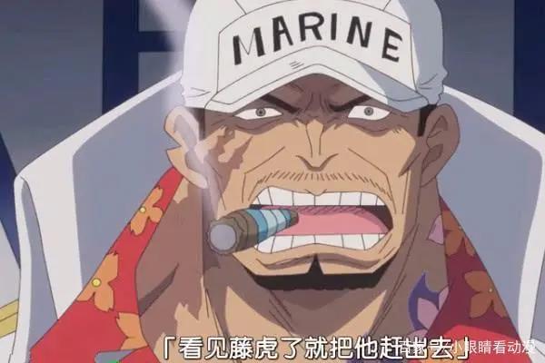 《海贼王》赤犬打藤虎一个愿打一个愿挨