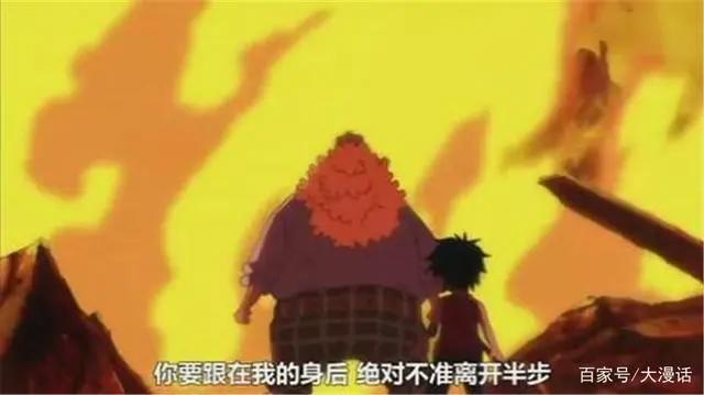 海贼王：别瞧不起这四位强者，最后一位连卡普都不是对手