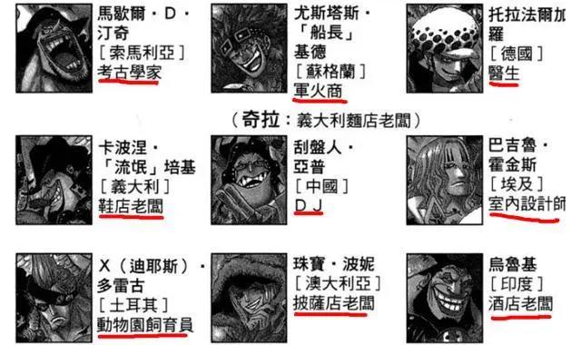 海贼王：极恶世代9个人代表9种职业，黑胡子是考古学家，罗是医生