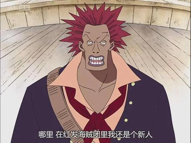海贼王:被高估的四皇干部,一个红发团新星,白胡子“看不起”