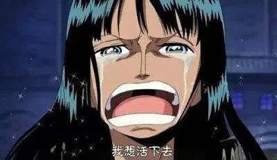 海贼王：细数四个让人脸红的冷知识，尾田表达得好隐晦啊！