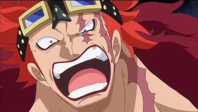 海贼王：基德和乌尔基都说自己打败过“将星”，到底谁在说谎？