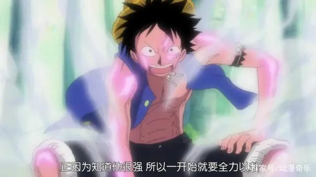 海贼王：贝基为何要暗算岳母BIGMOM？原因竟令人振奋！