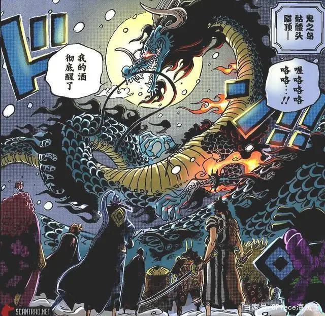 海贼王防御力最强的5颗果实，一颗让鹰眼汗颜，一颗只被一人伤过