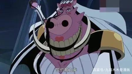 海贼王-扉页故事集-匪帮贝基的ohmyfamily