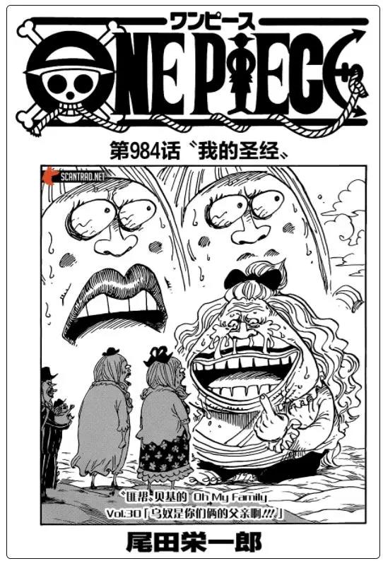 海贼王-扉页故事集-匪帮贝基的ohmyfamily