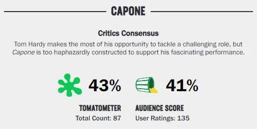 黑手党传奇教父＋悲情烂片导演，这部电影是真正的灾难艺术品