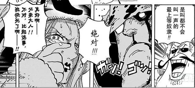 海贼王：大熊有个女儿？还是超新星？其实都错了