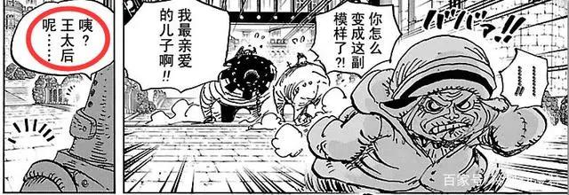 海贼王：大熊有个女儿？还是超新星？其实都错了