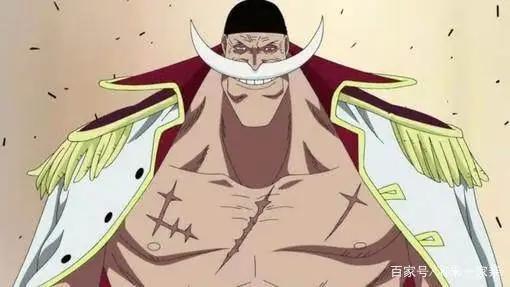 海贼王：以海贼为原型的四位角色，两位成为四皇，一位是美女