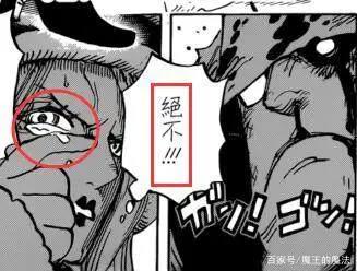 海贼王:她是熊的女儿?波妮的1句话引人怀疑,事情并不简单