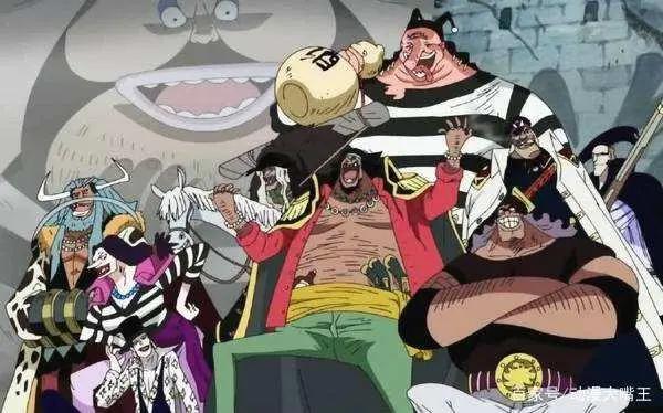 海贼王：波妮被黑胡子调戏，为什么黑胡子没有收波妮当自己手下？