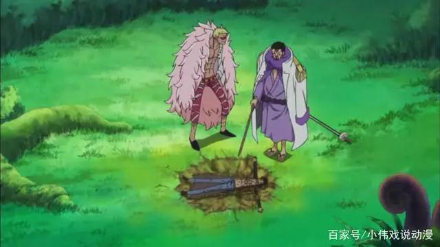 解密：在德雷斯罗萨篇章中，藤虎帮助多弗朗明哥攻击罗的真正原因