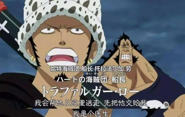 《海贼王》人物篇——罗，交友不慎导致高冷形象全线崩塌