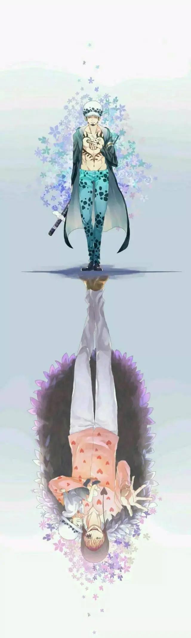 红心海贼团——罗