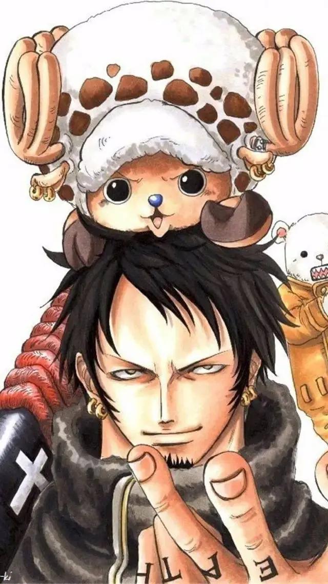 红心海贼团——罗