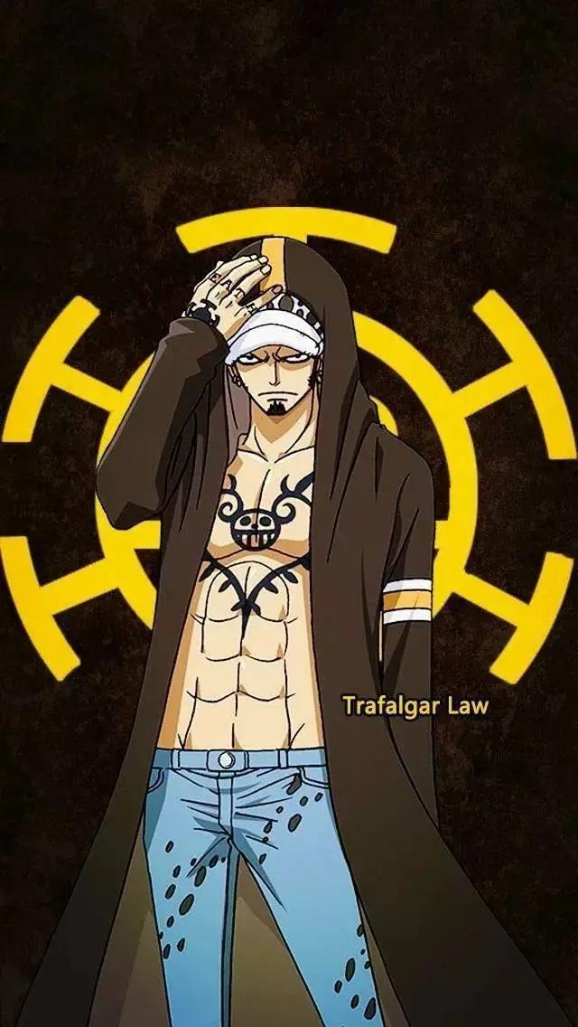 红心海贼团——罗