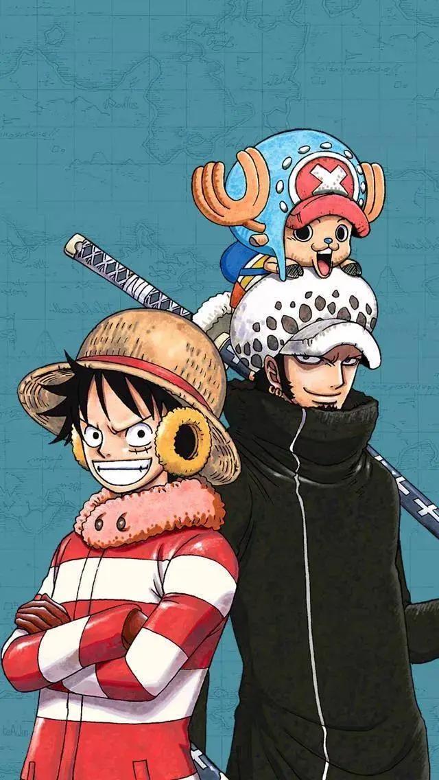 红心海贼团——罗