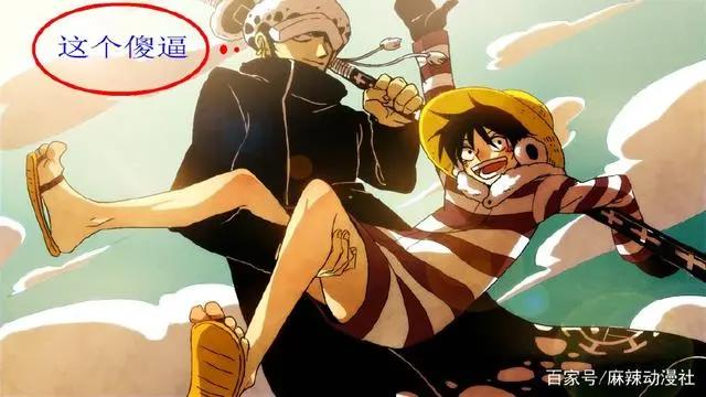 海贼王:死亡外科医生特拉法尔加·罗,OP世界最大坑货