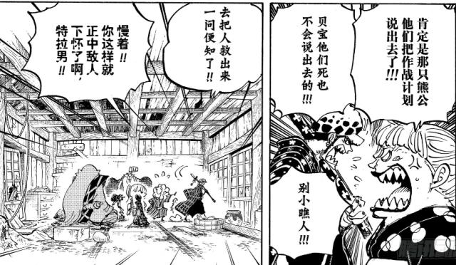 海贼王：特拉法尔加·罗被挤下C位？和之国支线剧情即将展开