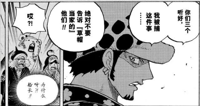 海贼王：特拉法尔加·罗被挤下C位？和之国支线剧情即将展开