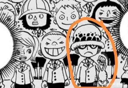 从特拉法尔加·罗谈起，闲谈尾田老师的人物构造法则