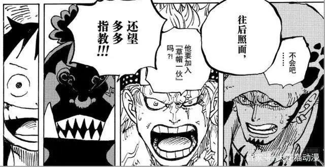 海贼王,激动,甚平官宣加入路飞,草帽团再添猛将