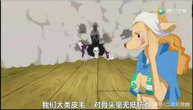 海贼王：布鲁克去了皮毛族！全身骨头被狗宠爱！