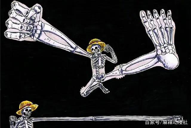海贼王：布鲁克才是最强王者，能力一旦觉醒将秒杀四皇